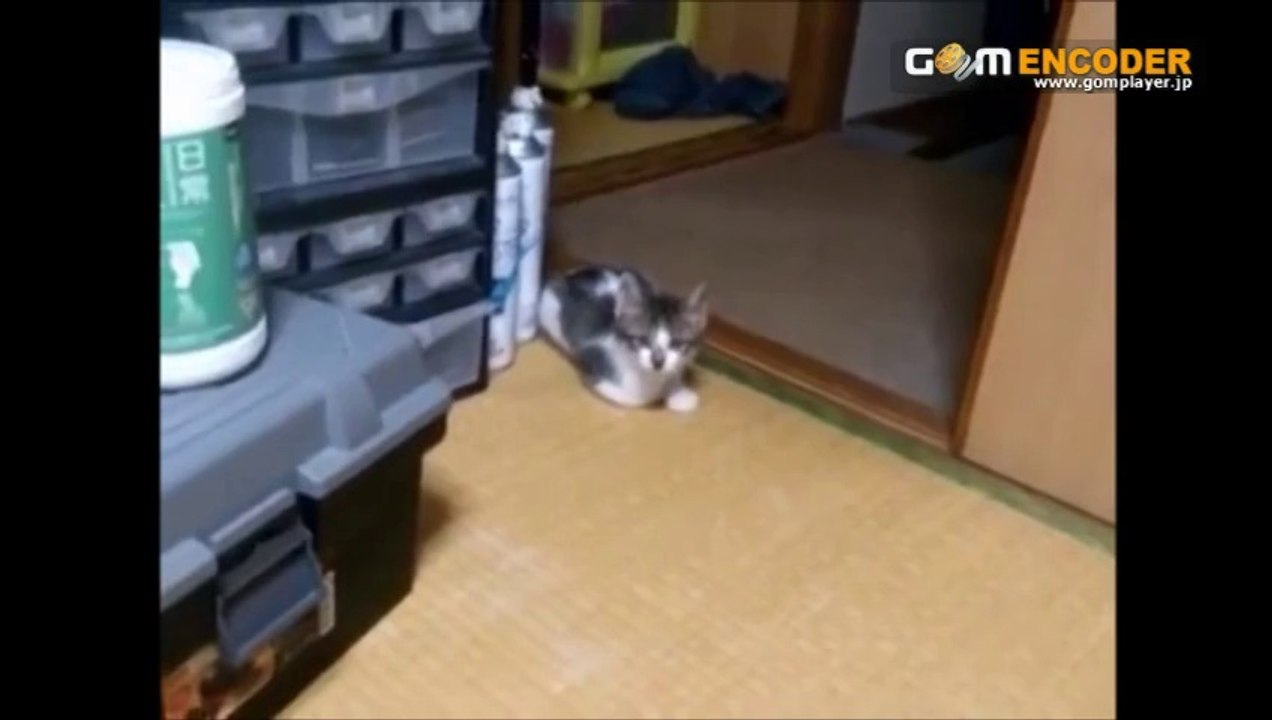摂食障害克服マニュアル　実践 検証 動画 実績 特典 購入 レビュー ブログ 暴露 評価 評判