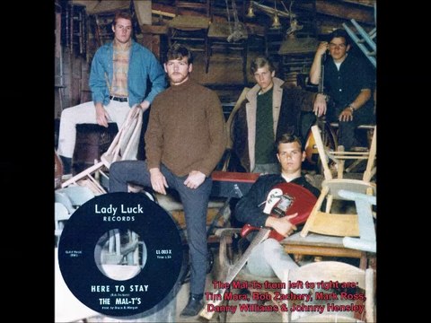 Wildwood Wildwood County 1966-71 US Hard Garage Psych Rock