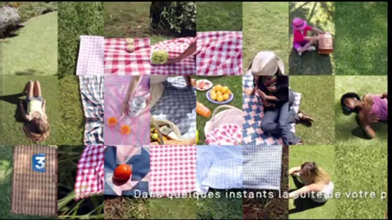 Plantage de France 3 - 19 mars 2014