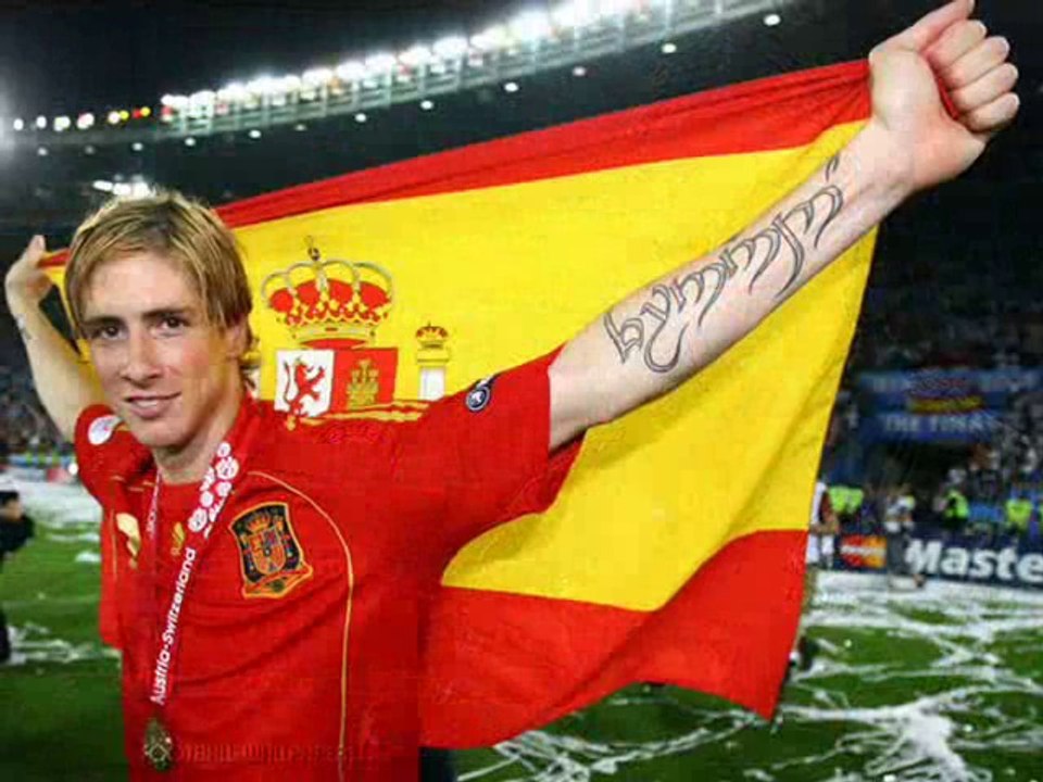 Fernando Torres,Spanish Footballer