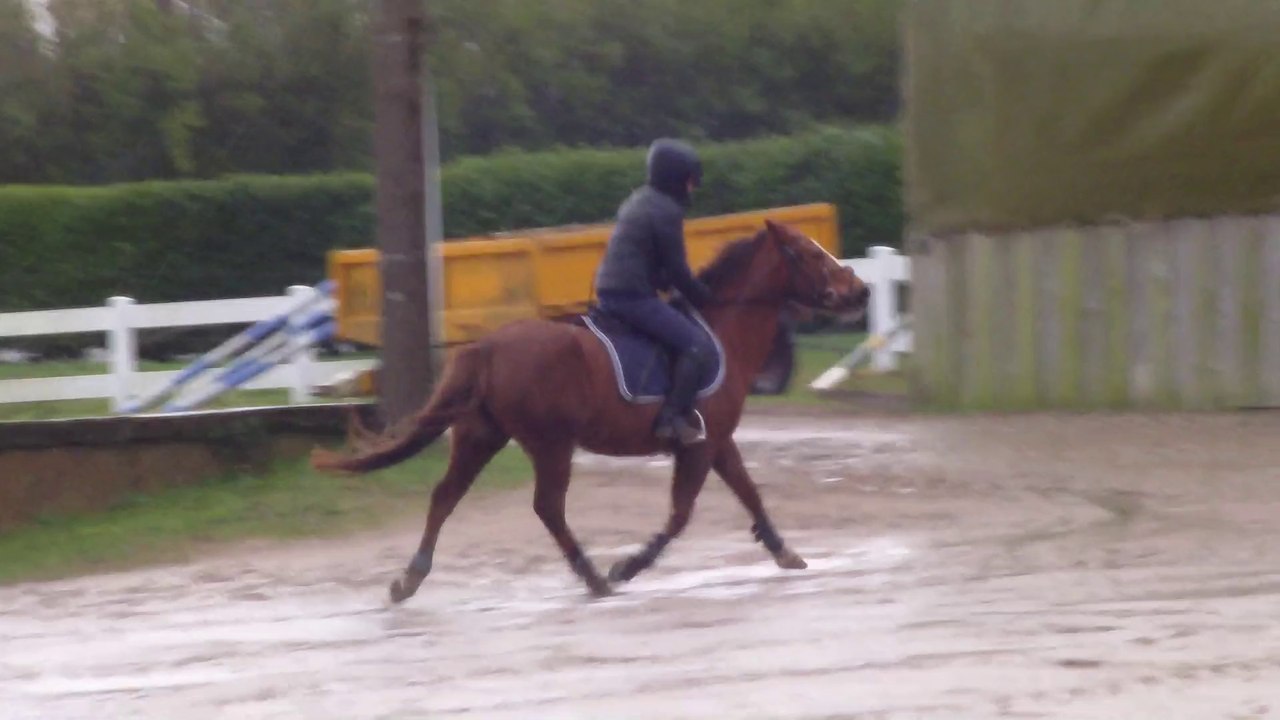 clemence reality