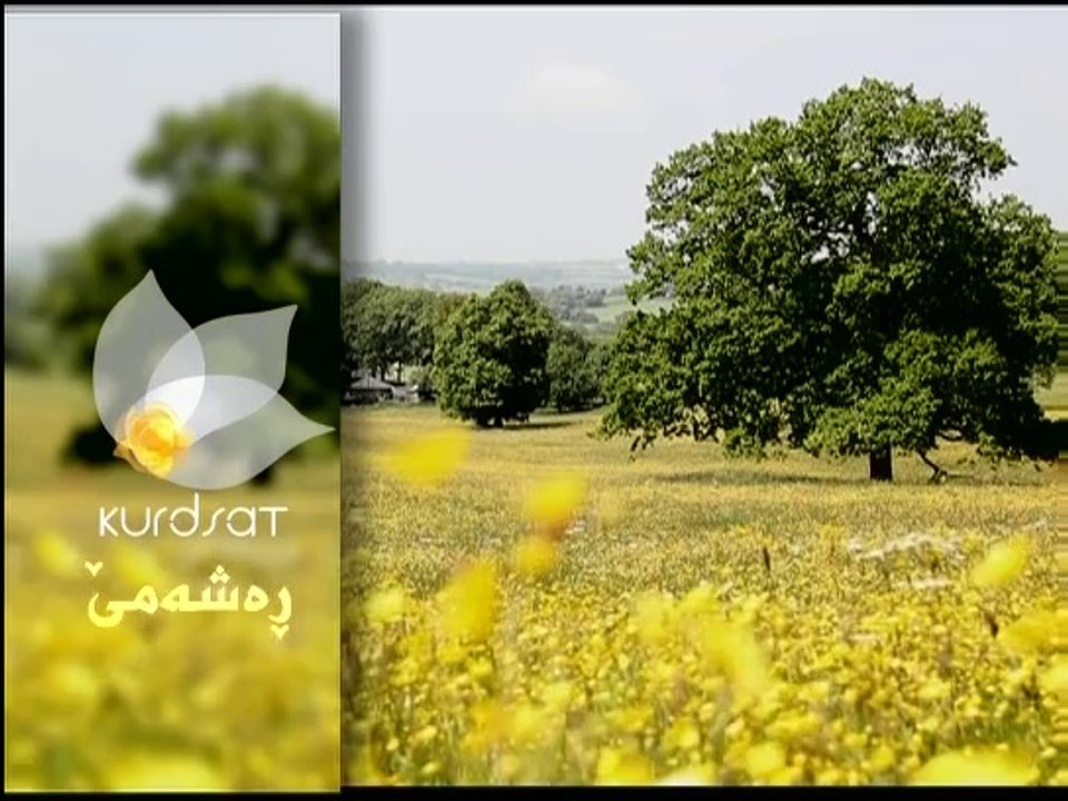 Dramay Rawchi Koylekan Alqay 12 درامای ڕاوچی کۆ...
