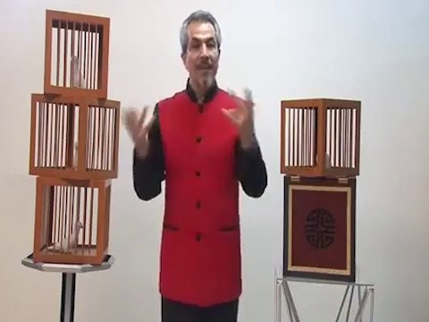 Everything to 4 Dove Cages by Tora Magic - Stage Magic Trick