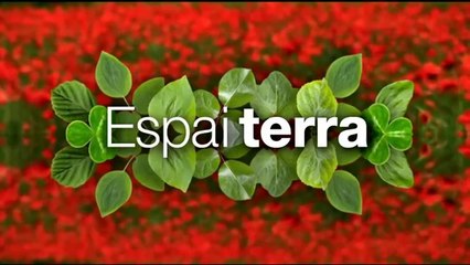 Espai Terra. dimecres 19 de març