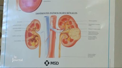 Santé : Une semaine pour prévenir les maladies rénales