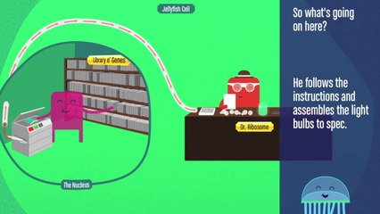 Introduction to Biotechnology