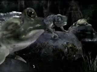 Budweiser - Frogs & Chameleons