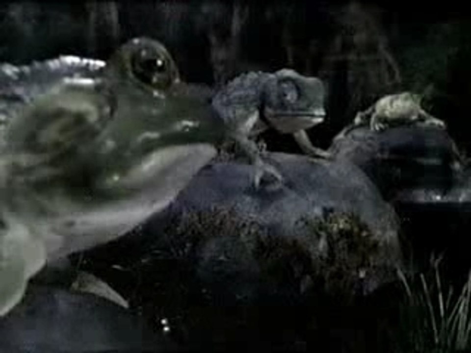 Budweiser - Frogs & Chameleons