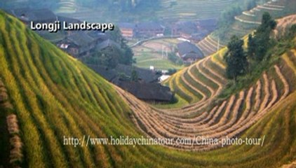 Longji Rice Terraces Fields
