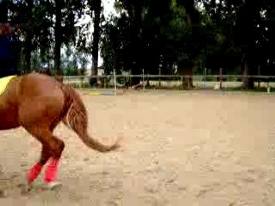 Zip et moi