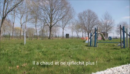 Eclipse 79th Running DW 2014-03-19