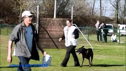 RENAULT-DOUAI 2014 COUPE des CLUB ...