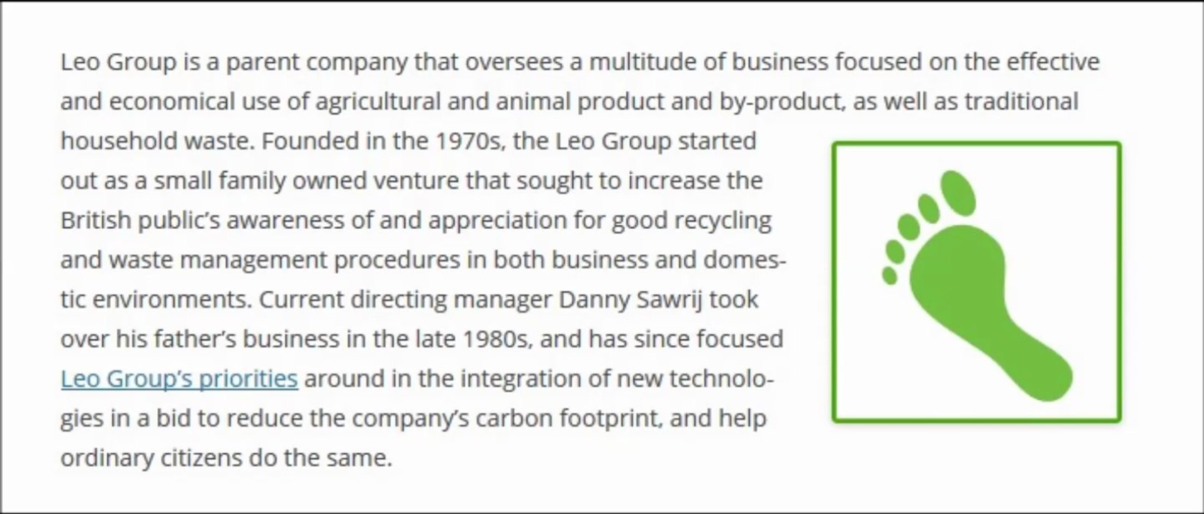 The Leo Group: Establishment and Evolution