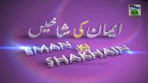 Iman ki Shakhein Ep#115 - Maulana Amin Attari