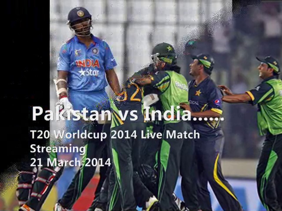 Cricket (1)