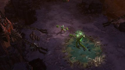 Diablo 3 - Reaper of Souls - Féticheur - Piranha