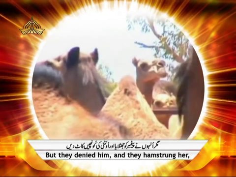 91 Surah Ash Shams - Qari Sayed Sadaqat Ali - Beautiful Recitation and Visualization with urdu and english translation of The Holy Quran