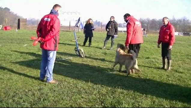 FX Berger Picard, Mondioring 1, Mérignac 2014