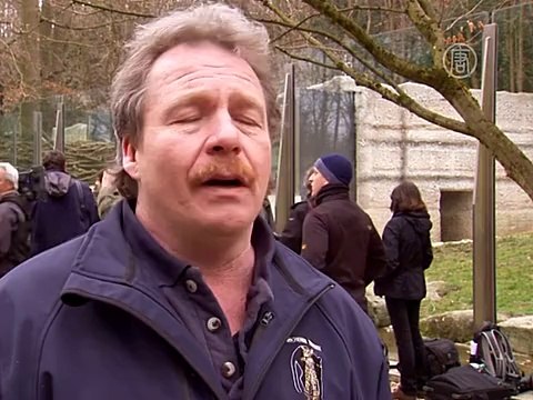 Белые медвежата «выходят в мир» в зоопарке Мюнхена