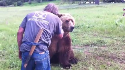 Grizzly Bear Devours Trainer