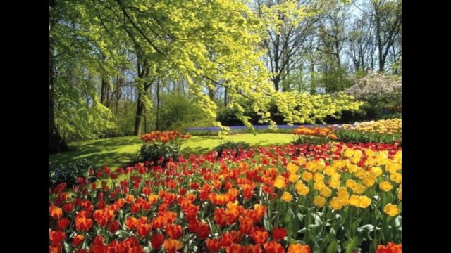 Il y a du printemps dans la PUB - Jeu de Pistes (communication radio, identité sonore)