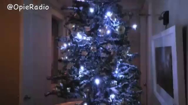 Snowing Christmas Tree