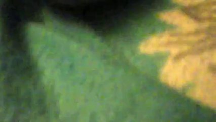 CINEPHONE 2013: CICLOS