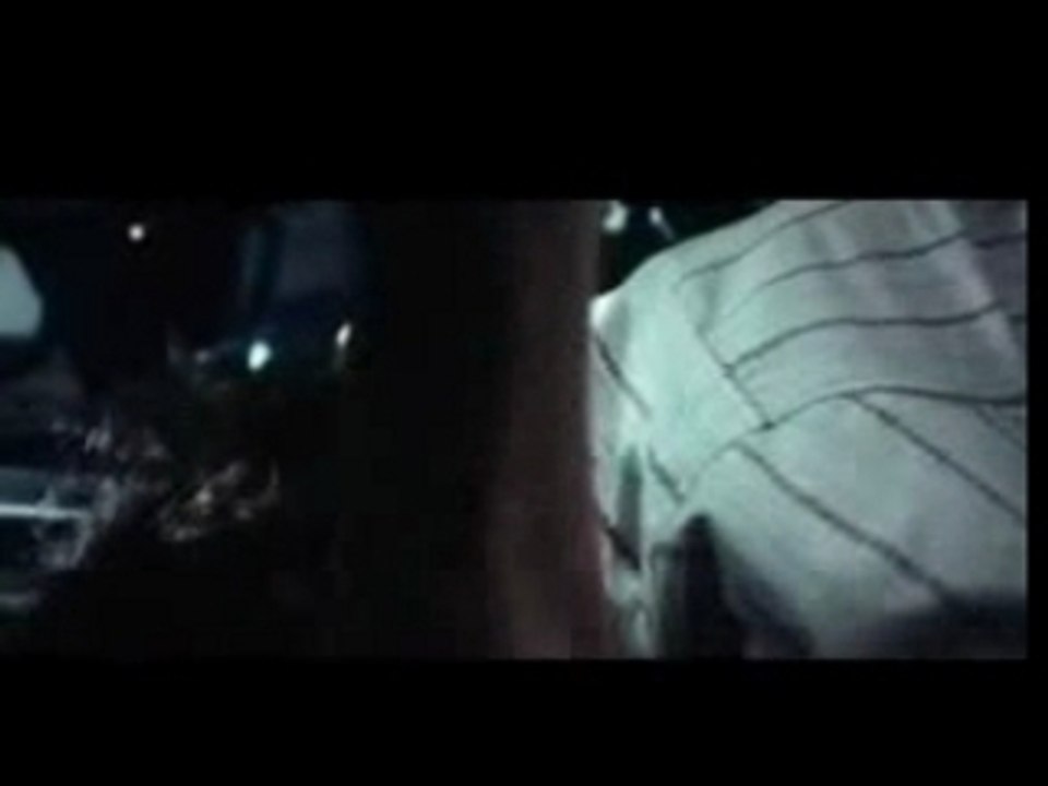 des Serpents dans L'avion