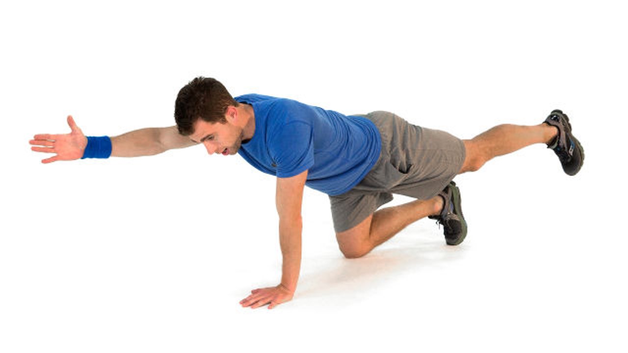 Dynamic Warm-Ups