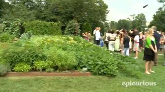 The Kids' State Dinner at the White House - Epicurious @ the White House: The Kitchen Garden Tour Led by Sam Kass