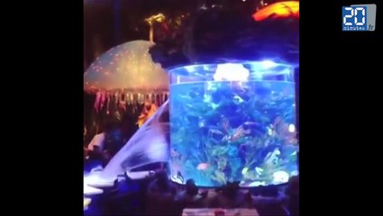 Un aquarium géant se brise à Disney World