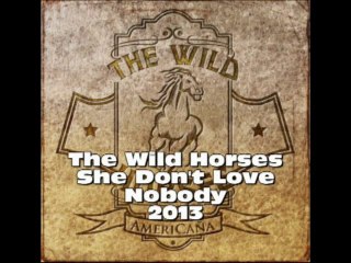 THE WILD HORSES - She Don't Love Nobody