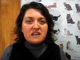 CIM Formación - La ansiedad en el gato-  Isabel Sánchez