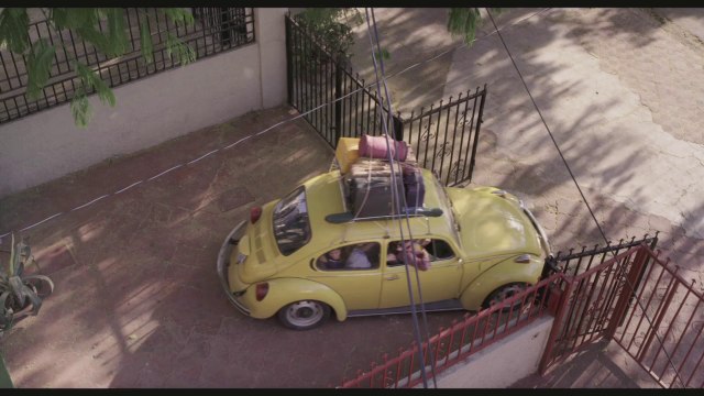 LES DROLES DE POISSONS-CHATS - Bande-annonce VO