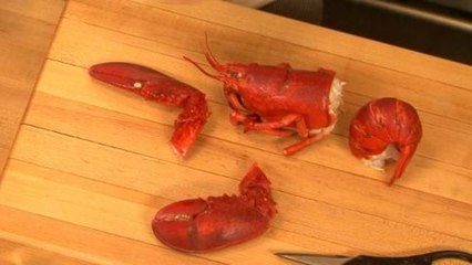 Around the World in 80 Dishes - How to Make French Bouillabaisse, Part 3