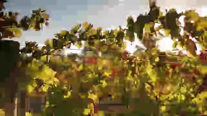 Perth Australia Traveling Guide