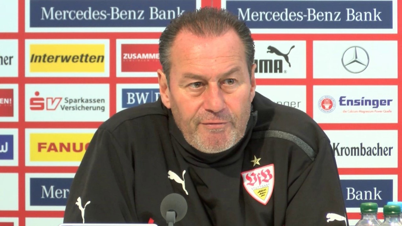 Ibisevic? Stevens: 'Was ist das Beste für die erste Elf?'