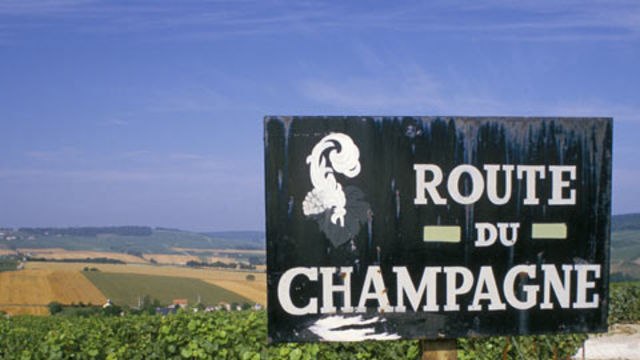 Wine 101 - Champagne & Sparkling Wines