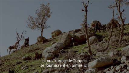 My Sweet Pepper Land, un film de Hiner Saleem (Teaser)