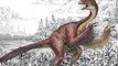 ‘Chicken From Hell' Dinosaur Officially Enters Science Community