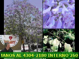 Radio Brazos Abiertos Hospital Muñiz Programa CULTURA Y SALUD 19 de Marzo (1)