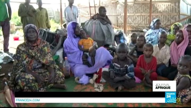 Journal de l'Afrique - La justice ivoirienne accepte le transfèrement de Charles Blé Goudé à la CPI