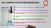 Best Shampoo For Dry Damaged Hair: Selecting the Right One