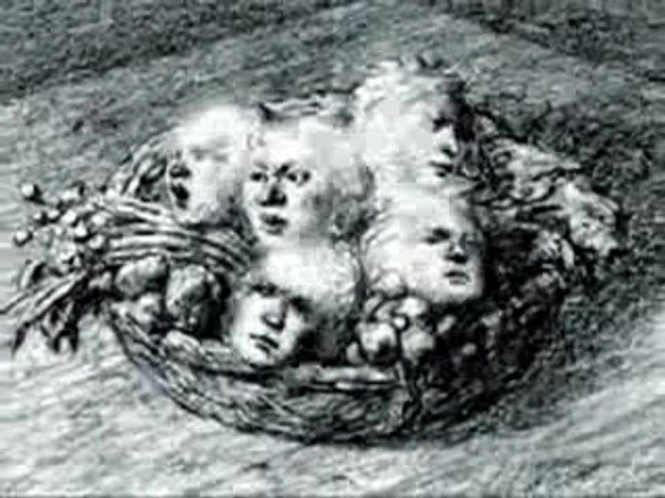 Dir en grey -Agitated Screams of Maggots