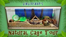 Gingersnap's Natural Cage Tour - March 2014