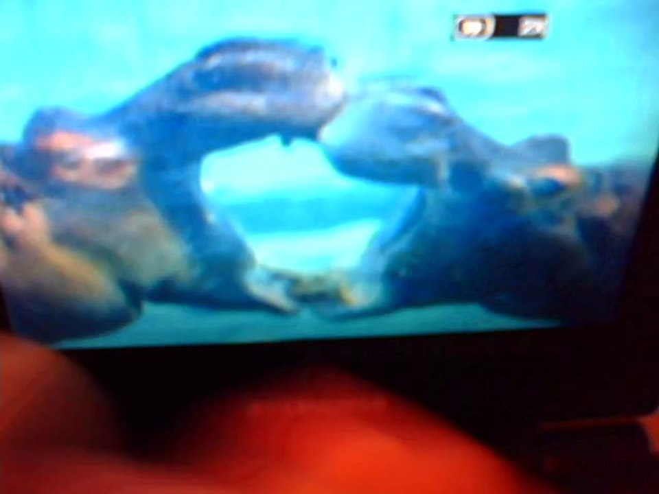 Baby Einstein Baby Noah Animal Expedition 360p