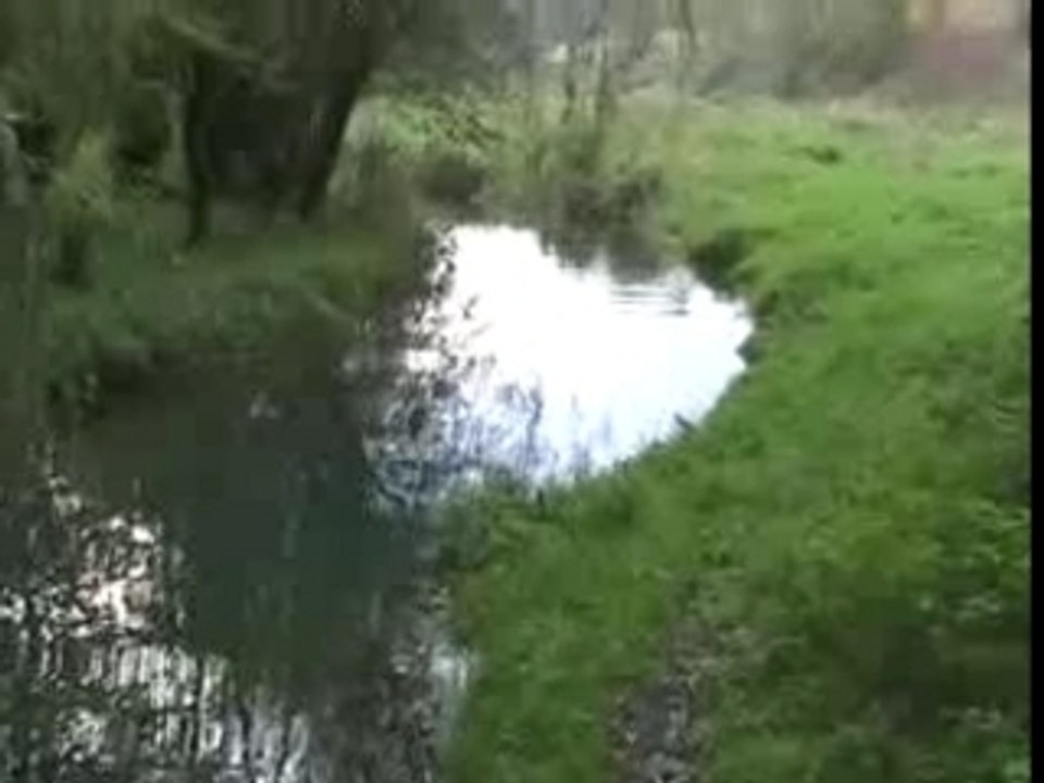 Protèger les frayères