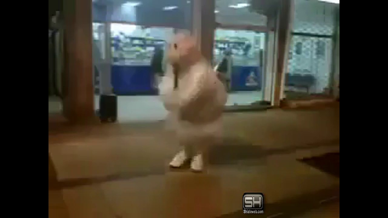 Entrenando a un perro y el Doctor simi bailando