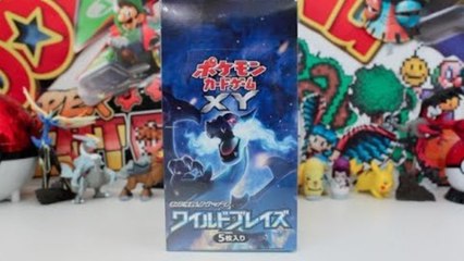 Opening A Pokemon Wild Blaze Booster Box Part 1