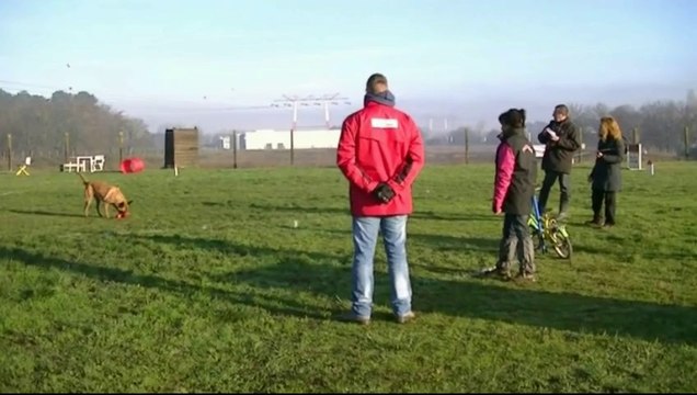 Fantasia, Mérignac 2014, Mondioring 1